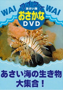 新品 あさい海の生き物大集合！ /  (DVD) DKLA-1014-KEI