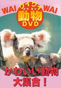 新品 かわいい動物大集合！ /  (DVD) DKLA-1018-KEI