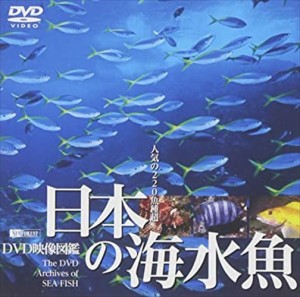 新品 シンフォレスト 日本の海水魚 DVD映像図鑑 /  (DVD) SDA26-TKO