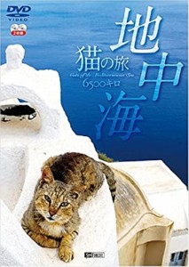 新品 シンフォレスト 地中海・猫の旅6500キロ /  (2DVD) SDA81-TKO