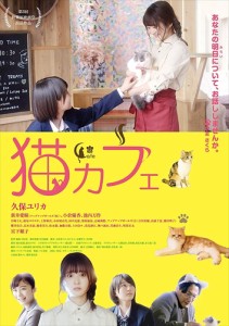 新品 猫カフェ DVD 【DVD】 TCED4569-TC