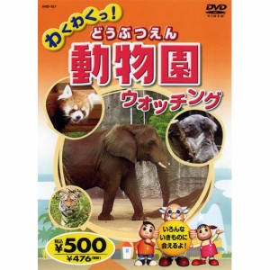 新品 わくわくっ！動物園（どうぶつえん）ウォッチング (DVD) KID-1401
