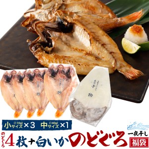 のどぐろ福袋 のどぐろ4枚 ＋ 白いか1枚 干物セット 焼き魚 焼魚 魚 さかな ひもの 一夜干し さかな ひもの 贈り物 贈答用 島根県浜田市 