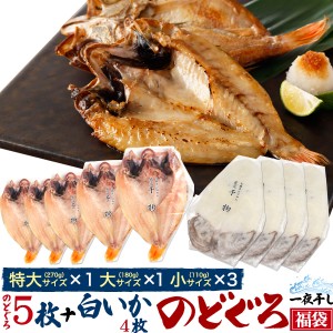 のどぐろ福袋 のどぐろ5枚 ＋ 白いか4枚 干物セット 焼き魚 焼魚 魚 さかな ひもの 一夜干し さかな ひもの 贈り物 贈答用 島根県浜田市 