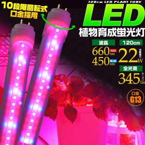 【2年間保証】 LED蛍光灯 植物育成 蛍光灯 120cm 40W形 消費電力22W 口金Ｇ13 水耕栽培 ランプ 栽培 直管型 LED LED植物育成ライト プラ