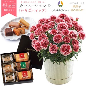 母の日 ギフト 花とスイーツ ギフトセット カーネーション（いちごホイップ） 「ホテルオークラ」 焼菓子 詰合せ お花ギフト プレゼント 