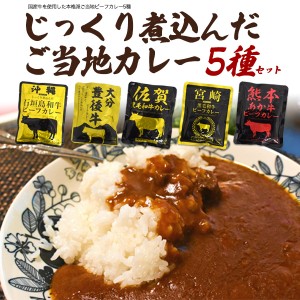 レトルトカレー 5種セット ご当地 ビーフカレー 有名 国産牛使用 本格派 牛肉カレー 詰合せ お試し ご当地カレー レトルトセット 防災食 