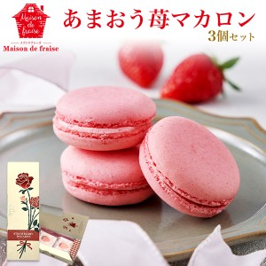 【メゾンドフレーズ】 あまおう苺マカロン 3個セット ピンク マカロン 洋菓子 個包装 お菓子 詰め合せ ギフト プレゼント 化粧箱 内祝 御