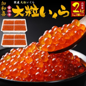 大粒いくら 醤油漬け 2kg (1kg×2個セット) 加和喜 イクラ醤油漬け いくらしょうゆ漬け かわき いくら醤油漬け 国産 日本産 魚卵 海鮮 寿