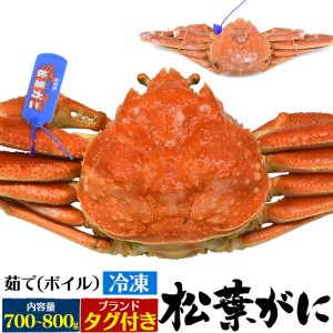 残りわずか 松葉ガニ 約700〜800g 【冷凍】カニ 姿 茹でカニ 蟹 かに 松葉ガニ ブランドタグ付き 山陰産 ボイルずわいがに 父の日 贈物 