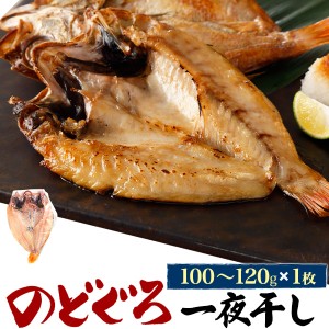 のどぐろ 小サイズ 1枚 約100〜120g 一夜干し 干物 高級魚 贈物 プレゼントお祝い 内祝 御礼 お中元 ギフト 熨斗対応 送料無料 冷凍配送 