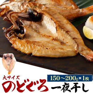 のどぐろ干物 150g〜200g 1枚 アカムツ 高級魚 冷凍 おつまみ のどぐろ ノドグロ 干物 開き 1匹 1尾 焼き魚 焼魚 魚 さかな ひもの 贈り