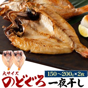 のどぐろ 大サイズ 2枚 約150〜200g 一夜干し 干物 高級魚 贈物 プレゼントお祝い 内祝 御礼 母の日 ギフト 熨斗対応 送料無料 冷凍配送 