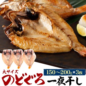 のどぐろ干物 150g〜200g 3枚 アカムツ 高級魚 冷凍 おつまみ のどぐろ ノドグロ 干物 開き 3匹 3尾 焼き魚 焼魚 魚 さかな ひもの 贈り