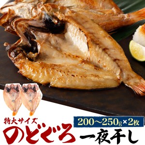 のどぐろ 干物 特大サイズ 200〜250g 2枚 一夜干し 高級魚 ノドグロ 赤むつ ご褒美 グルメ 内祝 御祝 御礼 贈物 贈答 プレゼント 送料無