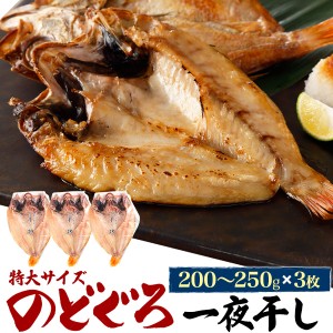 のどぐろ干物 200g〜250g 3枚 アカムツ 高級魚 冷凍 おつまみ のどぐろ ノドグロ 干物 開き 3匹 3尾 焼き魚 焼魚 魚 さかな ひもの 贈り