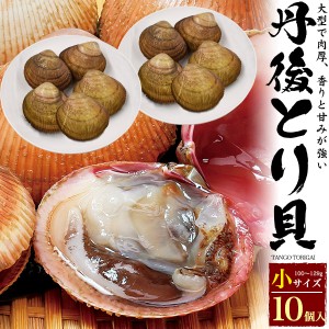 丹後とり貝 (小) 100g〜129g × 10枚セット  新鮮 生きたまま出荷 京都府産 宮津 舞鶴 生 殻付き 活け 大型 鳥海 とりがい トリガイ 10個