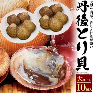 とり貝 10個セット 大サイズ 殻付き 生トリ貝 京都産 丹後とり貝 生 トリガイ 売り切れ御免 宮津 舞鶴 高級貝 ブランド貝 冷蔵 クール便 