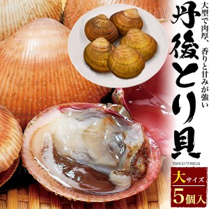 とり貝 5個セット 大サイズ 殻付き 生トリ貝 京都産 丹後とり貝 生 トリガイ 売り切れ御免 宮津 舞鶴 高級貝 ブランド貝 冷蔵 クール便 