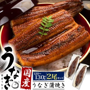 国産うなぎ 120g〜130g × 2尾 鰻 ウナギ うなぎ蒲焼 120〜130グラム 2匹 2本 うなぎのたれ付 粉山椒付 湯煎 電子レンジ可 鰻丼 うな丼 