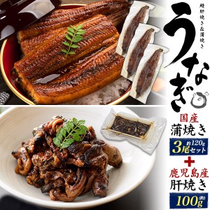 国産 うなぎ蒲焼 3尾（120g×3） 肝焼き 100g 鰻セット 国産うなぎの肝 珍味 鰻の蒲焼き 3人前 土用の丑の日 父の日 ギフト 内祝 お祝い 