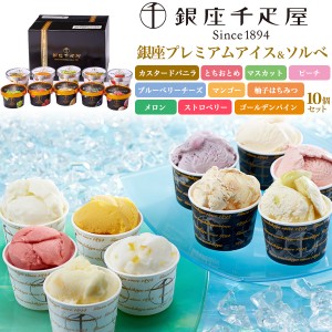 お祝い ギフト 銀座プレミアムアイス ソルベ 10種セット銀座千疋屋 アイスセット 涼菓子 詰合せ 熨斗対応 冷凍配送 内祝い 母の日 贈り物