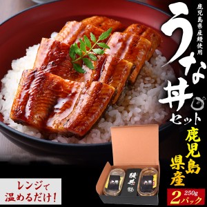 うな丼セット 250g×2パック 2人用 ごはん付き 温めるだけ レンジでチン 鹿児島県産 2人前 鰻丼 鰻重 うなぎの蒲焼 タレ 山椒付き グルメ