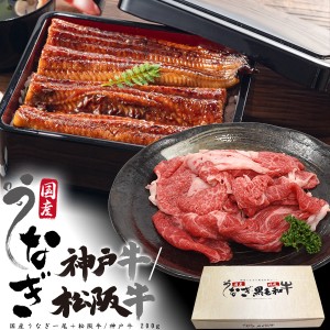 うな牛セットうなぎ 神戸牛 グルメギフト 国産 うなぎ蒲焼 一尾 和牛 モモ肉 ギフトセット 内祝 父の日 ギフト 鰻 贈物 贈答用 送料無料 