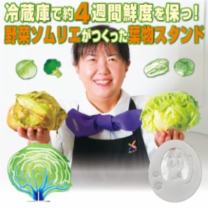 メール便対応 野菜 鮮度 保存 芯から冷やす 野菜長持ちスタンド 野菜ソムリエ監修、冷蔵庫で4週間鮮度を保つ  野菜の芯 長持ち 冷蔵庫 保