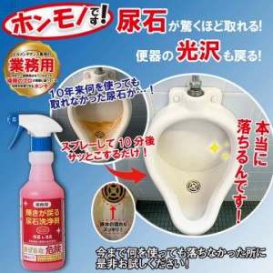 トイレ洗剤 便器 黄ばみ 業務用 尿石洗浄剤 輝きが戻る 500ml 除菌 消臭効果 便器に光沢を与える。強力 洗浄剤 除菌 消臭 トイレ 