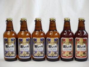 クラフトビールパーティ6本セット　金しゃちピルスナー330ml×4本　金しゃちアルト330ml×2本