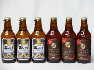 クラフトビールパーティ6本セット　金しゃちピルスナー330ml×3本　IPA感謝ビール330ml×3本