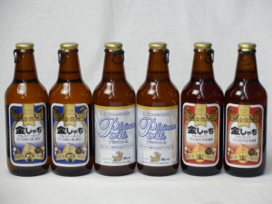 クラフトビールパーティ6本セット　金しゃちピルスナー330ml×2本　プラチナエール330ml×2本　金しゃちアルト330ml×2本