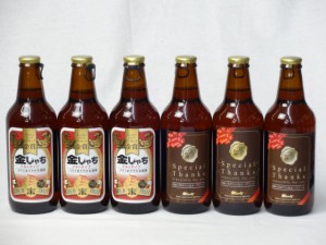 クラフトビールパーティ6本セット　金しゃちアルト330ml×3本　IPA感謝ビール330mll×3本