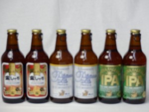 クラフトビールパーティ6本セット　金しゃちアルト330ml×2本　プラチナエール330ml×2本　IPA330ml×2本