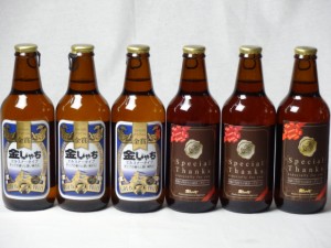 クラフトビールパーティ6本セット　金しゃちピルスナー330ml×3本　IPA感謝ビール330ml×3本