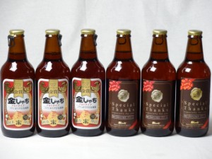 クラフトビールパーティ6本セット　金しゃちアルト330ml×3本　IPA感謝ビール330ml×3本