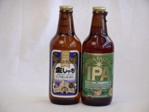 クラフトビールパーティ2本セット　金しゃちピルスナー330ml　　ＩＰＡ330ml