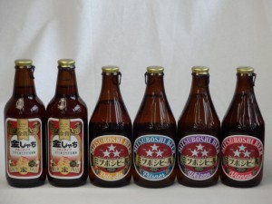 クラフトビールパーティ6本セット金しゃちアルト330ml ミツボシヴァイツェン330ml　ミツボシウィンナスタイルラガー330ml ミツボシピルス