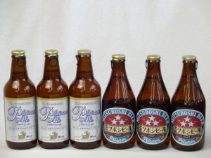 クラフトビールパーティ6本セットプラチナエール330ml ミツボシヴァイツェン330ml