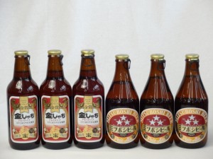 クラフトビールパーティ6本セット金しゃちアルト330ml ミツボシペールエール330ml