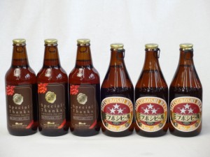 クラフトビールパーティ6本セットIPA感謝ビール330ml×3本　 ミツボシペールエール330ml×3本