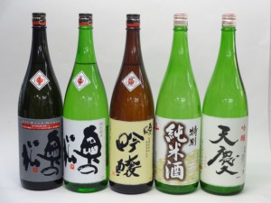 特選日本酒セット 奥の松 天一 天慶 5本セット 奥の松(特別純米 吟醸 全米吟醸) 天一(特別純米) 天慶(吟醸) 1800ｍ