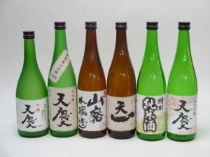 特選日本酒セット 天慶 天一 6本セット 天慶(吟醸 大吟醸 純米吟醸) 天一(山廃本醸造 清酒 特別純米酒) 720ml×６本