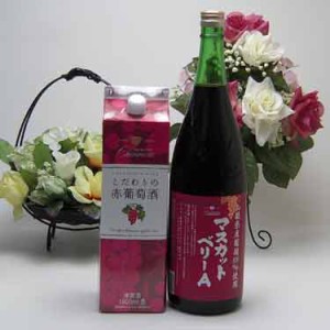 シャンモリビッグ2本赤ワインセット 1800ml×2本 盛田甲州ワイナリー(山梨県) 