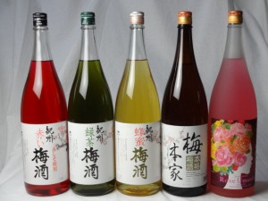 こんな梅酒福袋が欲しかったぁ　飲み比べ5本セット(中野BC 赤い梅酒 緑茶梅酒 蜂蜜梅酒 中埜酒造 おばあちゃんの梅酒 中埜酒造 ローズ梅