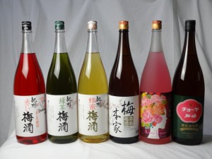 こんな梅酒福袋が欲しかったぁ　飲み比べ6本セット(中野BC 赤い梅酒 緑茶梅 酒 蜂蜜梅酒 中埜酒造 おばあちゃんの梅酒 中埜酒造 ローズ梅