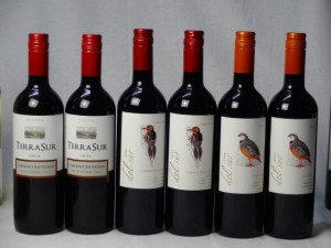 チリ赤ワイン6本セット  デル・スール カベルネ・ソーヴィニヨン フルボディ2本 デル・スールカルメネール 2本 テラスル ミディアムボデ