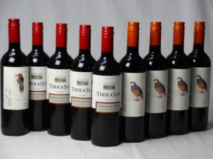 チリ赤ワイン9本セット  デル・スール カベルネ・ソーヴィニヨン フルボディ1本 デル・スールカルメネール 4本 テラスル ミディアムボデ