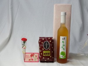 母の日 ギフトセット リキュールセット(完熟梅の味わいと日本酒のうまみをたっぷりの梅リキュール うめとろ500ｍｌ 7％奥の松酒造(福島県